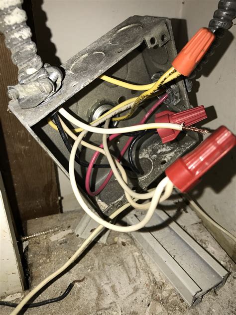 buzzing noise in electrical box|intermittent buzzing sound in house.